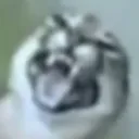 immense_pain