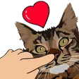 jayofkBoop