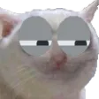 suscat