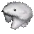 polarspin