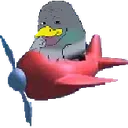 pigeonofwisdom