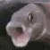 fishpoggif