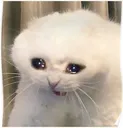 fuckingCRY Discord Emoji