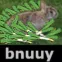 bnuuylotsaleeks