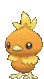 torchic torchic