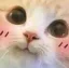 cat_blushie
