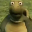 verne verne