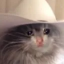 kitty_sadyeehaw