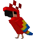 danse_perroquet