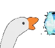 ShinkuHonk ShinkuHonk