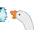 LeftShinkuHonk
