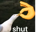 shut