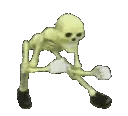 ShakeySkelly
