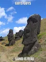moyailand