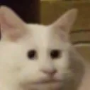 son