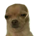 bruh2