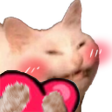 AGC_CatBlushHeart Discord emoji