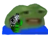 peepogun