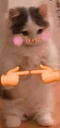 :UwU:
