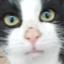 emoji10 Discord emoji