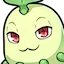 smugchikorita