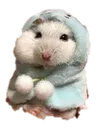 Hampter Hampter