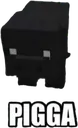 pigga