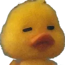 ducksheesh