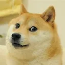 thedoge Discord Emoji