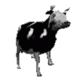 cowJAM cowJAM