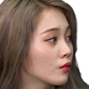 fuglare Discord emoji