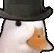 DuckHowdy
