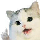 883612710825230337