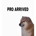 z_mbg_urpro