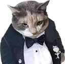 tuxedocat