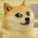 huihui huihui