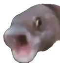 pog_FF pog_FF