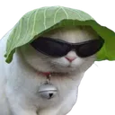 Chustunna_aniobservechastunna Chustunna_aniobservechastunna
