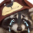 raccoon_cry Discord emoji