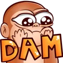 DAM