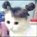 mszz_nuteSad