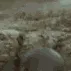 LETSFUCKINGOOOOOO