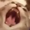 Aaaa