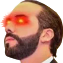 elsal