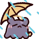 TakoRain