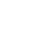 T_white_gallop