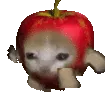 applecatRun applecatRun
