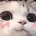 Happycat
