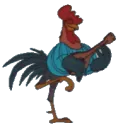 Rooster
