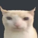 BruhCat